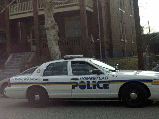 Homestead police Homestead: 29 registered sex offenders are listed.