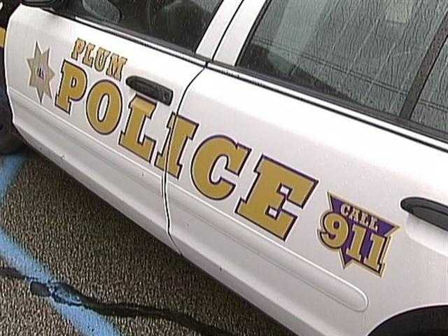 Plum police Plum: 25 registered sex offenders are listed.