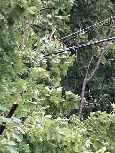 lower burrell storms lower burrell storms