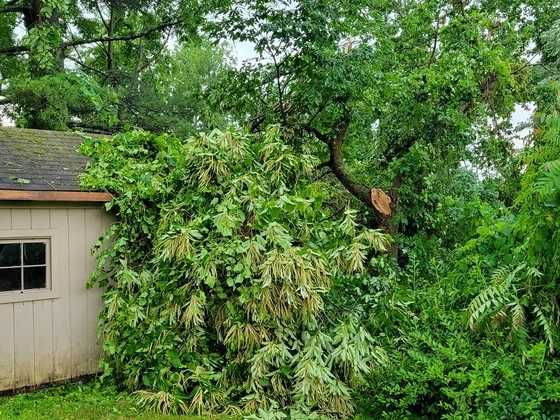 storm damage storm damage