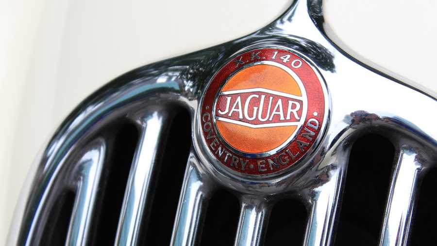 Jaguar