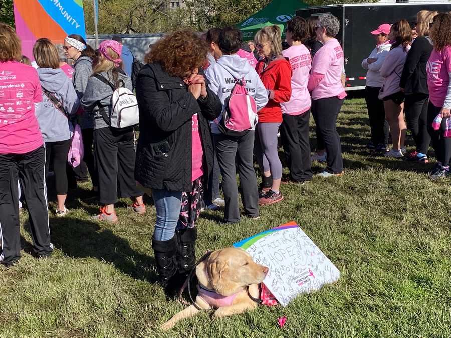 2022 Komen More Than Pink Walk 2022 Komen More Than Pink Walk