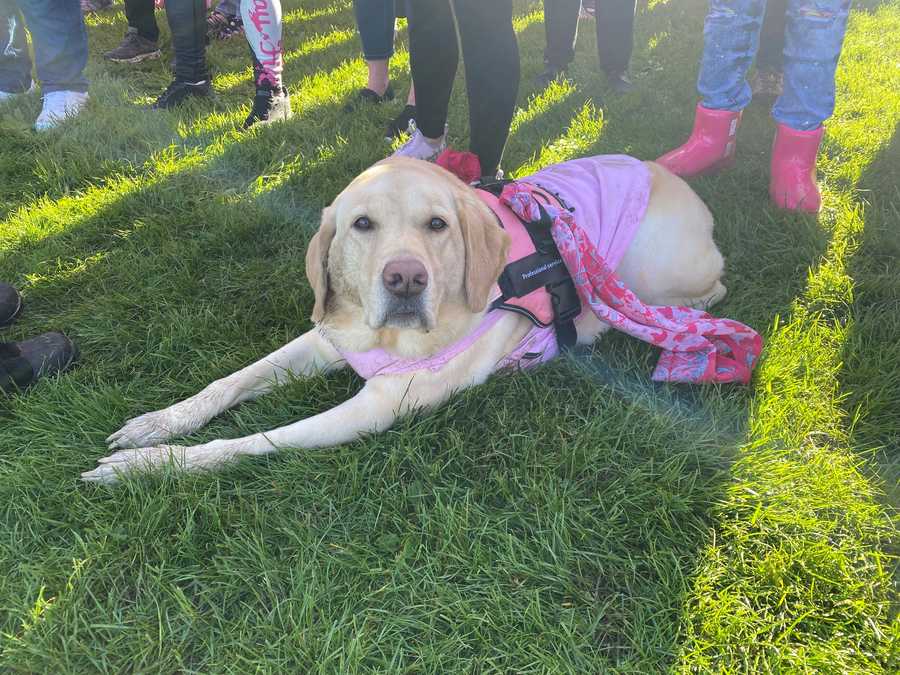 2022 Komen More Than Pink Walk 2022 Komen More Than Pink Walk